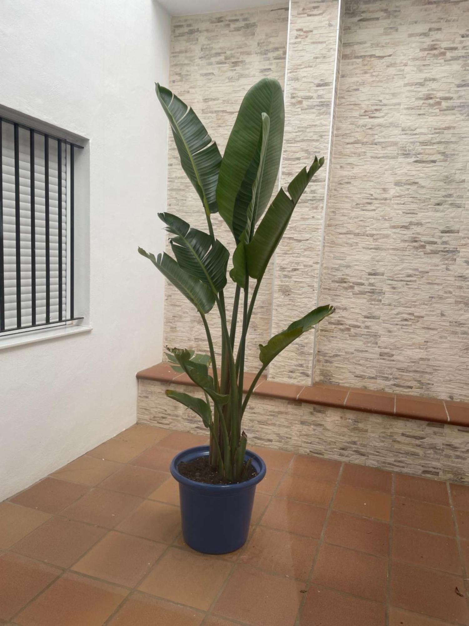 קוניל דה לה פרונטרה Alojamiento Saturno 1 מראה חיצוני תמונה